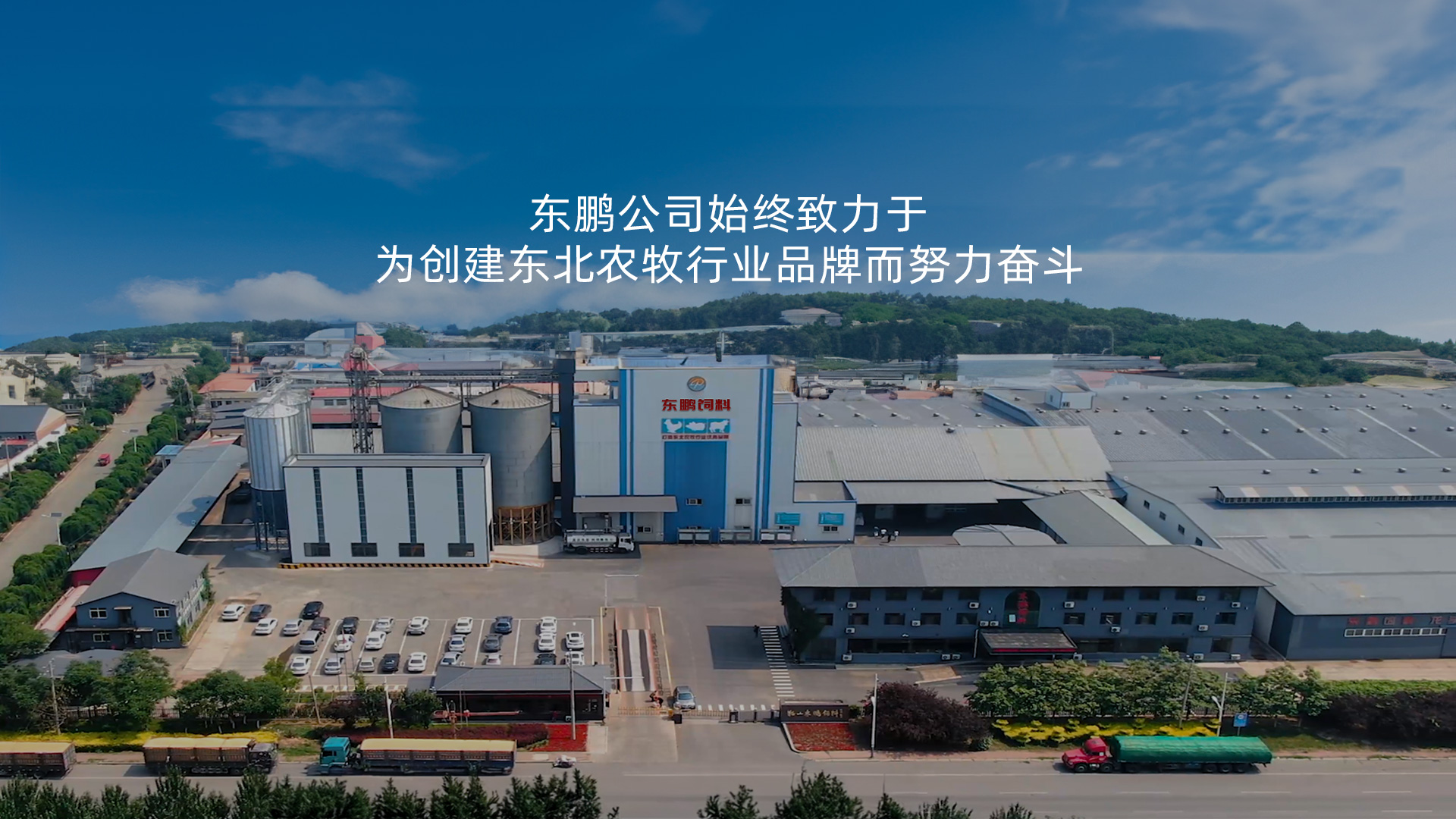 营口饲料
